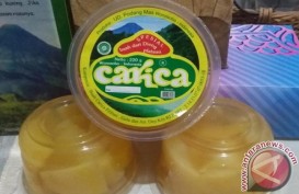 Ekspor Produk Carica Wonosobo ke Thailand Belum Optimal