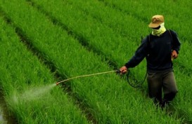 MCA Dampingi 500 Petani Perempuan Pakai Pestisida Organik