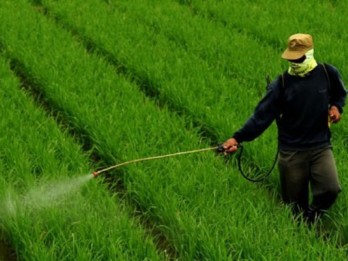 MCA Dampingi 500 Petani Perempuan Pakai Pestisida Organik
