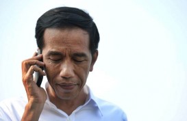 Kurban di Kota Bengkulu, Ini Bobot Sapi yang Diserahkan Presiden Jokowi