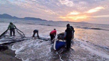 Stok Ikan di Natuna Turun, Mobilisasi Nelayan Pantura Tetap Berlanjut