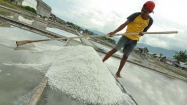 Bangka Belitung Berkomitmen Jadi Sentra Garam