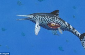 Ilmuwan Temukan Fosil 'Naga Laut' Berumur 200 Juta Tahun
