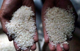 Permentan Jenis Beras Diundangkan