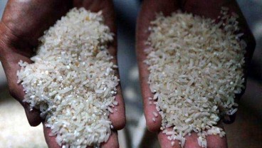 Permentan Jenis Beras Diundangkan