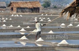 Produksi Garam di Lamongan Terkendala Hujan