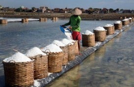 Indonesia Diperkirakan Kekurangan Garam Konsumsi 500.000 Ton