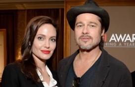 Mantap Cerai, Angelina Jolie dan Brad Pitt Fokus ke Anak