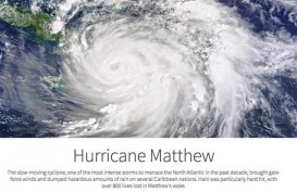 Badai Irma Dekati Florida, Harga Tiket Penerbangan Melonjak