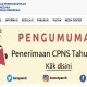 Pengumuman CPNS 2017 Gelombang II Klik di https://ssc.bkn.go.id atau Link Ini