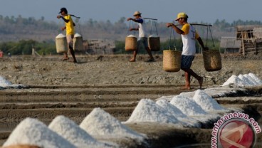 Produksi Garam Probolinggo Melimpah, Harga Jual Anjlok