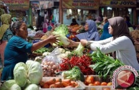 Presiden Jokowi Mendorong Petani Fokus Agrobisnis