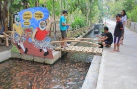 Ramai-Ramai Didorong Tiru Selokan Ikan Singosaren