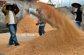 Bulog Malang Mulai Menyerap Beras Petani di Atas HPP