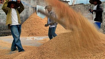 Bulog Malang Mulai Menyerap Beras Petani di Atas HPP