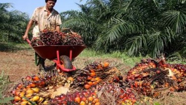 Pabrik Oleokimia Sinar Mas di Dumai Mulai Beroperasi