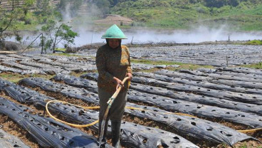 Kawah Sileri Dataran Tinggi Dieng Berstatus Waspada