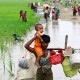 Krisis Rohingya, PBB Sebut Ini Kesempatan Terakhir Suu Kyi