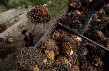 Perkebunan Membaik, Penjualan Motor di Riau Naik 30%