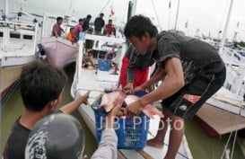 Nelayan di Malang Terima Bantuan Sembilan Kapal