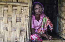 Pengungsi Rohingya Diinjak Gajah Hingga Tewas di Bangladesh