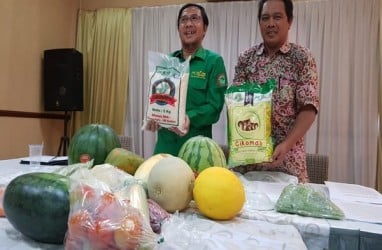 Puspa Agro Akan Rambah Bisnis Pasar Grosir