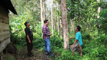 Hamijon Adalah Sumber Penghidupan Kami