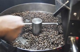 Puspa Agro Optimistis Bisa Catatkan Penjualan Kopi Rp60 Miliar