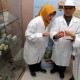 Bio Farma Perluas Ekspansi Ke Timteng dan Afrika Utara