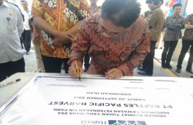 ABC Group Gandeng Mitsui & Co Bangun Peternakan dan Pabrik Susu