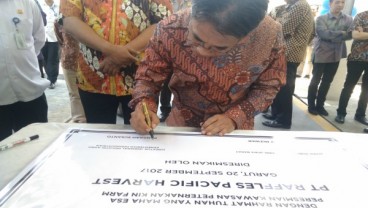 ABC Group Gandeng Mitsui & Co Bangun Peternakan dan Pabrik Susu