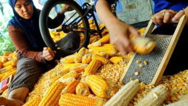 Industri Pakan Siapkan Usulan Impor Gandum 200.000 Ton