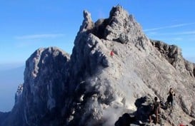 Tambang Pasir Merapi Berdampak Buruk Pada Perilaku, Penambang Didorong Jadi Peternak Sapi