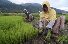 PBNU: Program Reforma Agraria Lambat