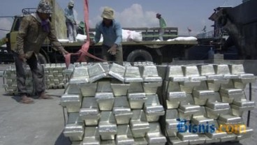 Walhi Babel Minta Pemerintah Perlu Moratorium Pertambangan Timah