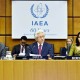 Dubes RI Darmansjah Djumala Terpilih Jadi Ketua Dewan Gubernur IAEA. Ini Misi yang Dibawa