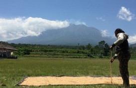 BPBD NTB Menyiapkan Bantuan Bagi Pengungsi Gunung Agung