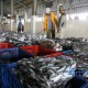 Bitung Bakal Menerapkan Wajib Jual Ikan ke UPI Lokal