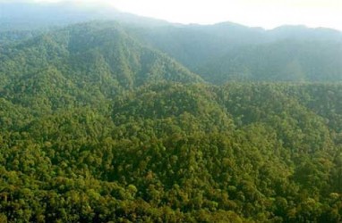GCF 2017 : Sinergi Menjaga Hutan di Tengah Arus Industrialisasi