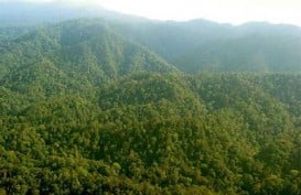 GCF 2017 : Sinergi Menjaga Hutan di Tengah Arus Industrialisasi