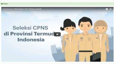 CPNS KALTARA 2017: 12.301 Pelamar Lulus Seleksi Administrasi, Cek di Sini