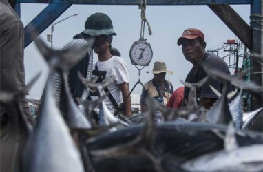 Tahun 2018, Muara Angke Pelabuhan Ikan Terbaik di Indonesia
