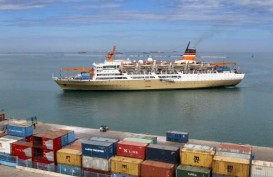 WAJIB CRANE MILIK PELINDO IV: Otoritas Pelabuhan Yakin Produktivitas Melonjak