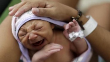 VIRUS ZIKA: Hebat, Vaksin Berbasis DNA Ini Memberikan Harapan