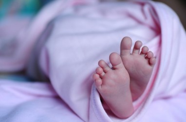 Delapan Bayi Meninggal Dalam Sehari di Rumah Sakit Ini