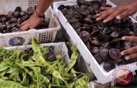 Ini Harga Jengkol di Pasar Tradisional Baturaja OKU