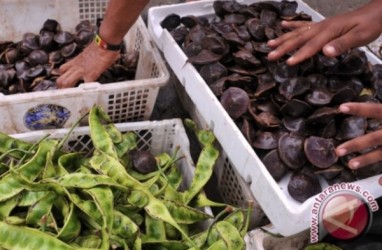 Ini Harga Jengkol di Pasar Tradisional Baturaja OKU