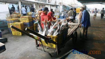 Musim Teduh, Perdagangan di Pelelangan Ikan Pekalongan Stabil