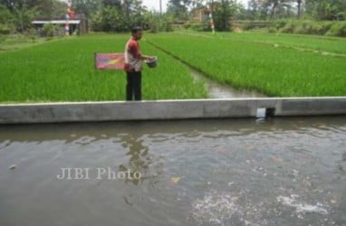 Pemkab Banjarnegara Mendorong Petani Menerapkan Minapadi