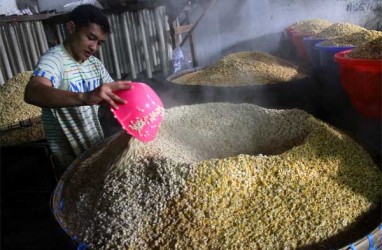 PRODUKSI KEDELAI LOKAL: Pengusaha Siap Menyerap